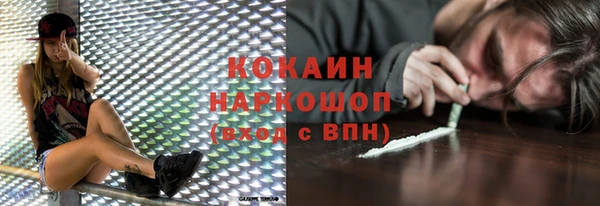 ешки Инта