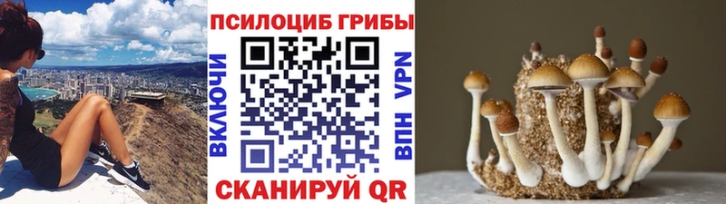 Псилоцибиновые грибы прущие грибы  Купить  Давлеканово 